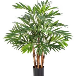 Parlour Palm de Luxe 110cm